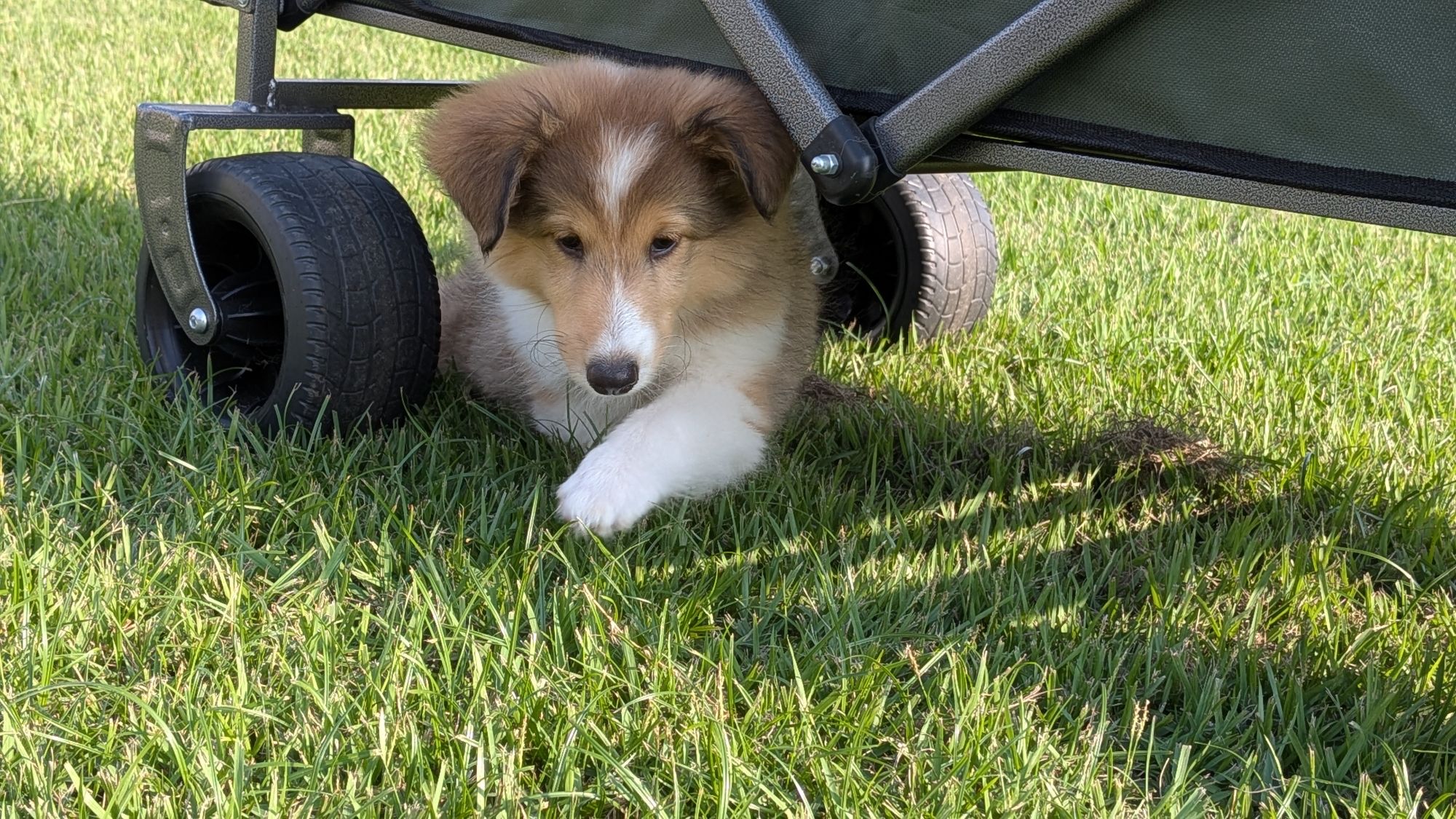 pxl_20250911_0726181802878720154660644276