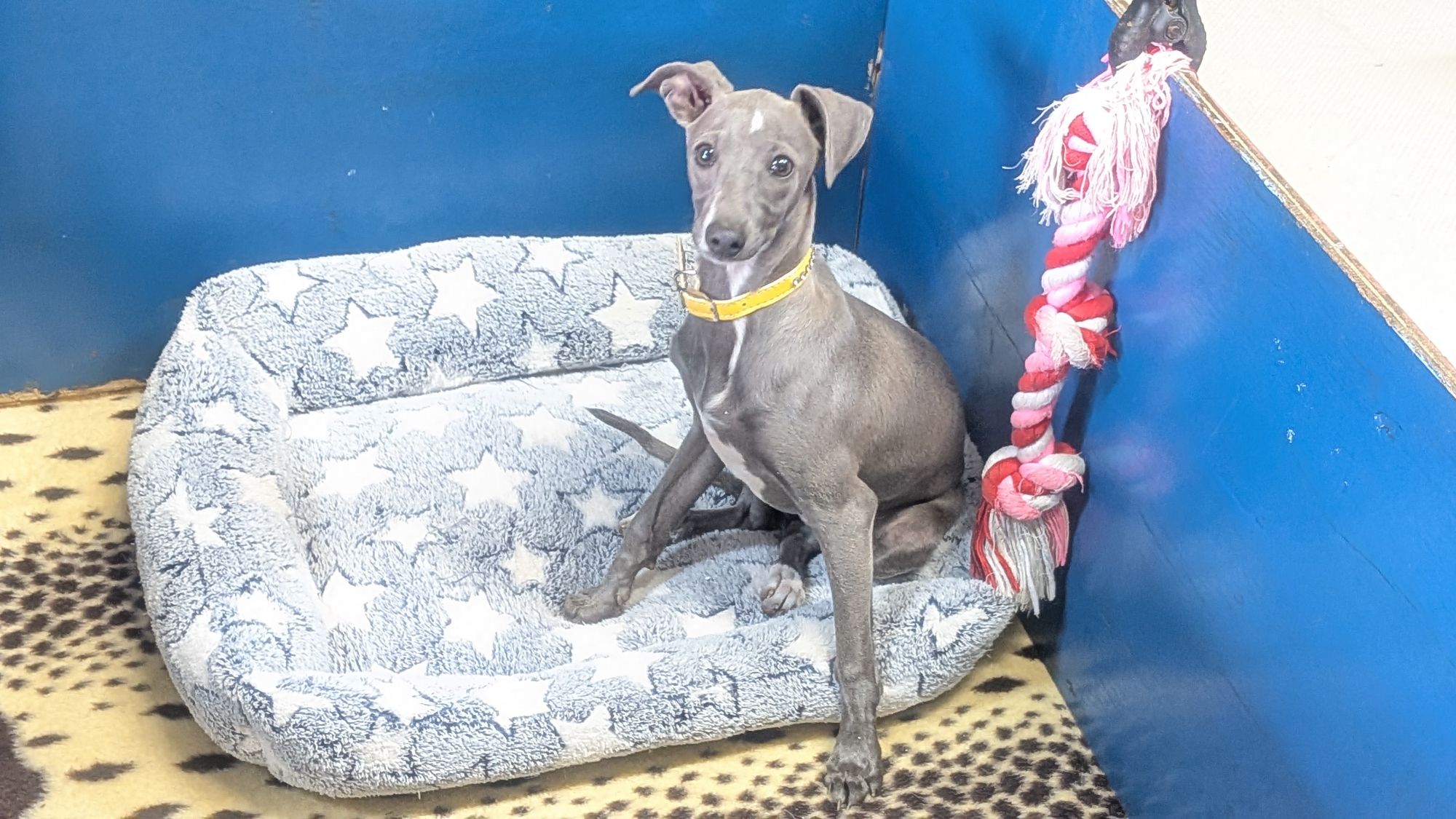 pxl_20251201_0240387824565214935760769197