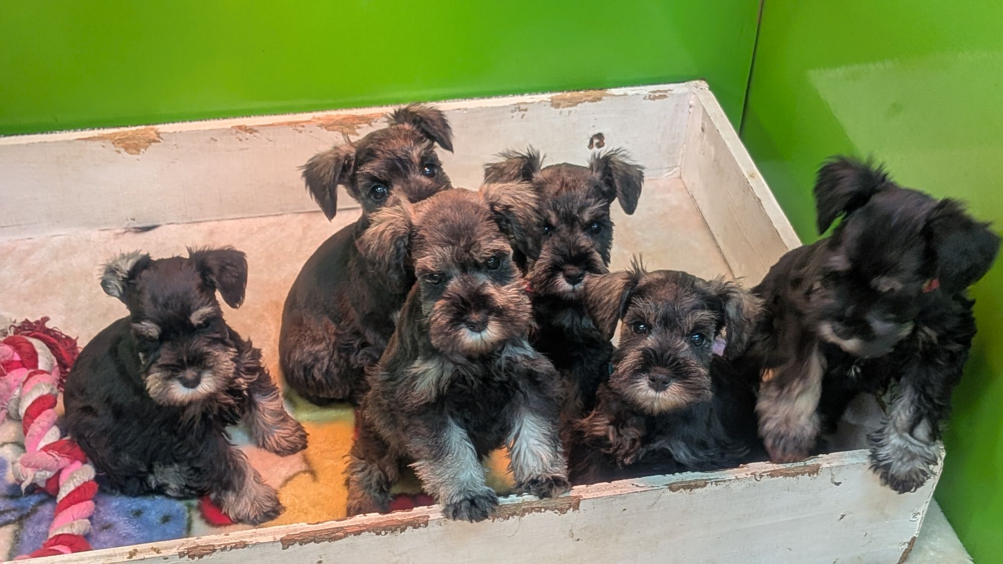 pxl_20260107_023304752548149933103284021